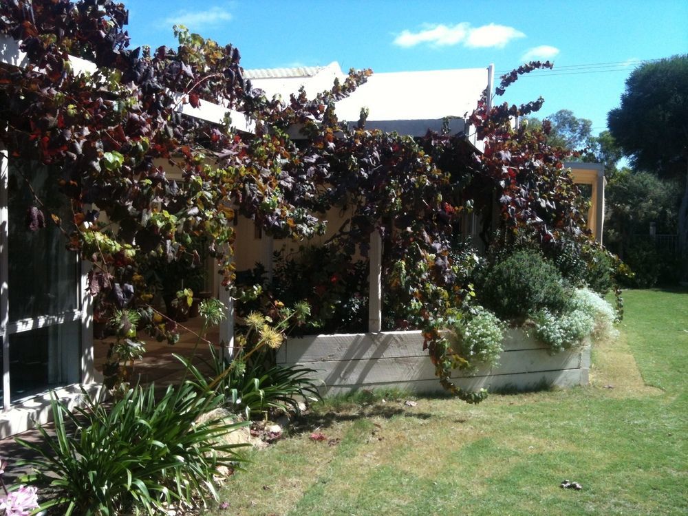 Bellevue Bed & Breakfast Mclaren Vale Zewnętrze zdjęcie